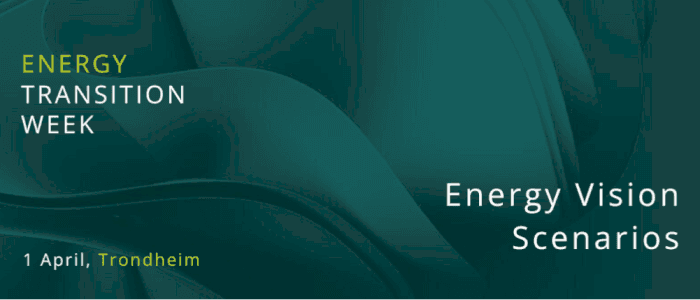 Workshop: Energy Vision Scenarios